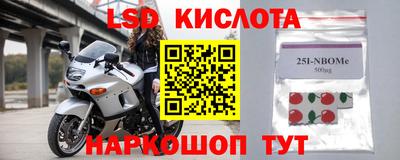 гашик Донской