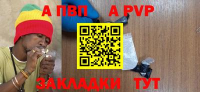 гашик Донской