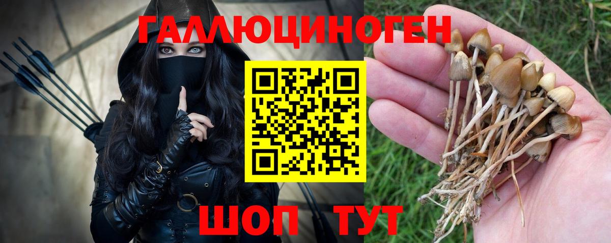 Галлюциногенные грибы Magic Shrooms Лысьва